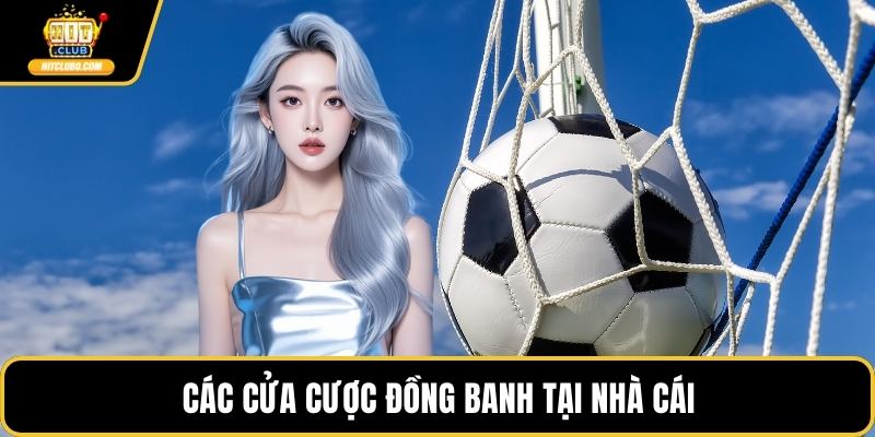 Các cửa cược đồng banh tại nhà cái