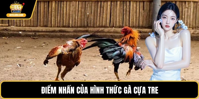 Điểm nhấn của hình thức gà cựa tre