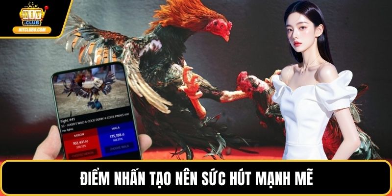 Điểm nhấn tạo nên sức hút mạnh mẽ