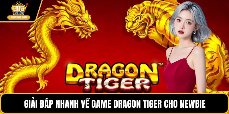 Giải đáp nhanh về game Dragon Tiger cho newbie