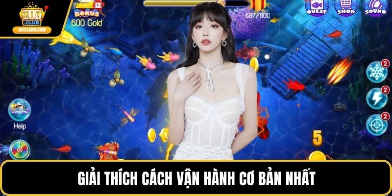 Giải thích cách vận hành cơ bản nhất