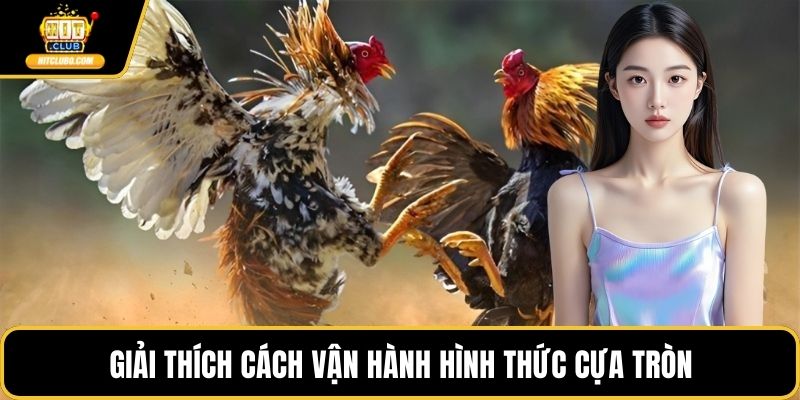 Giải thích cách vận hành hình thức cựa tròn