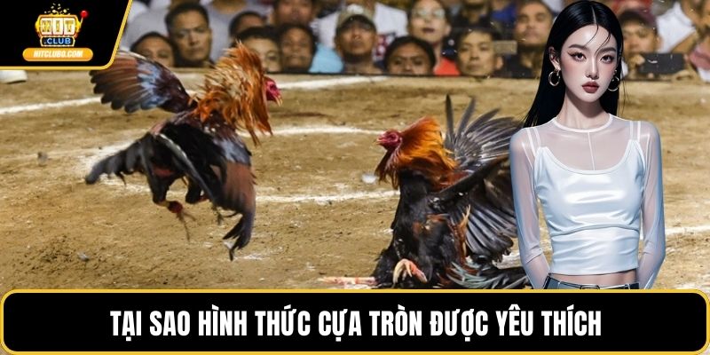 Tại sao hình thức cựa tròn được yêu thích
