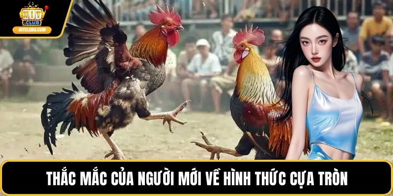 Thắc mắc của người mới về hình thức cựa tròn