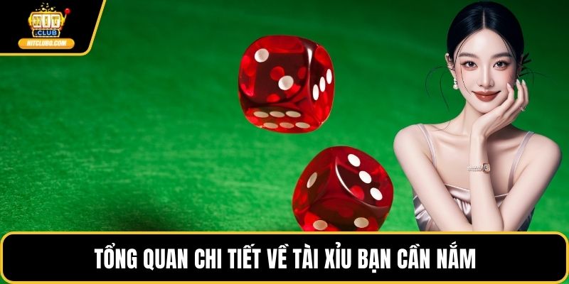 Tổng quan chi tiết về tài xỉu bạn cần nắm